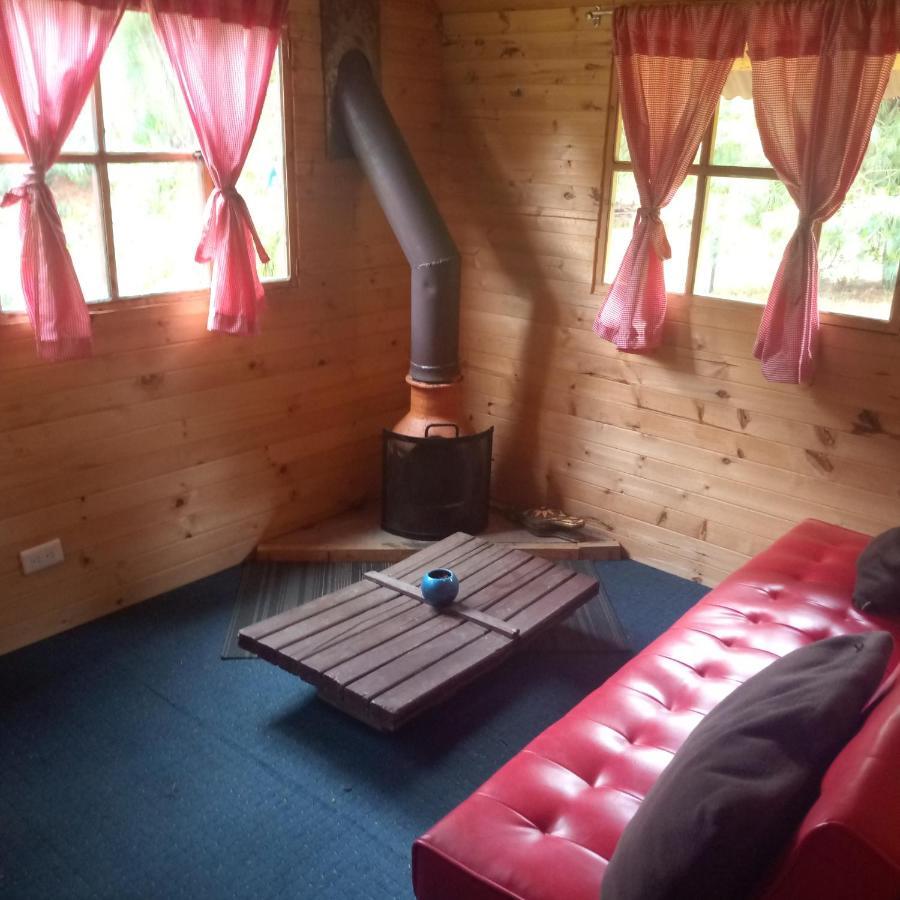 阿玛雷洛木屋 苏埃斯卡 外观 照片