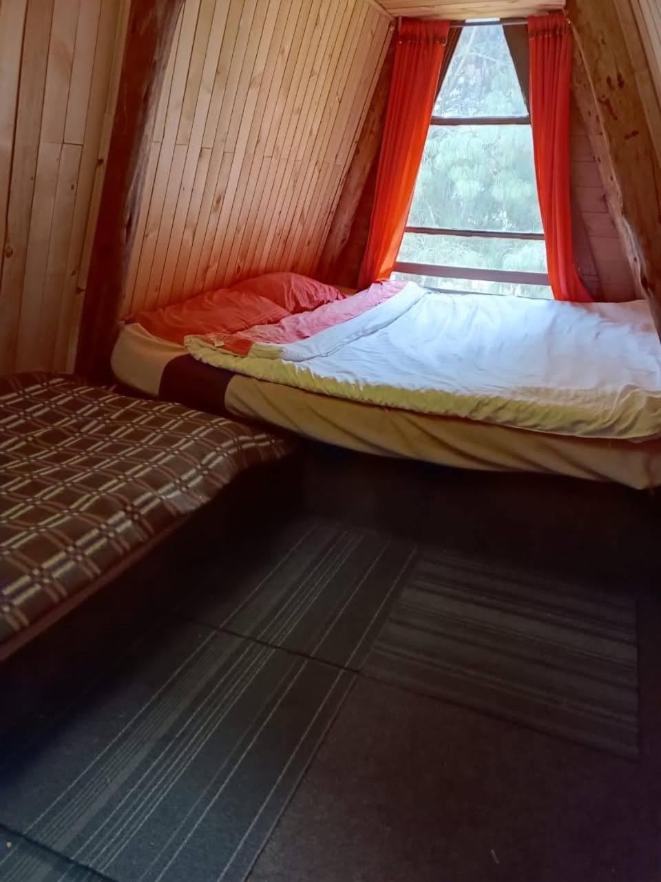 阿玛雷洛木屋 苏埃斯卡 外观 照片